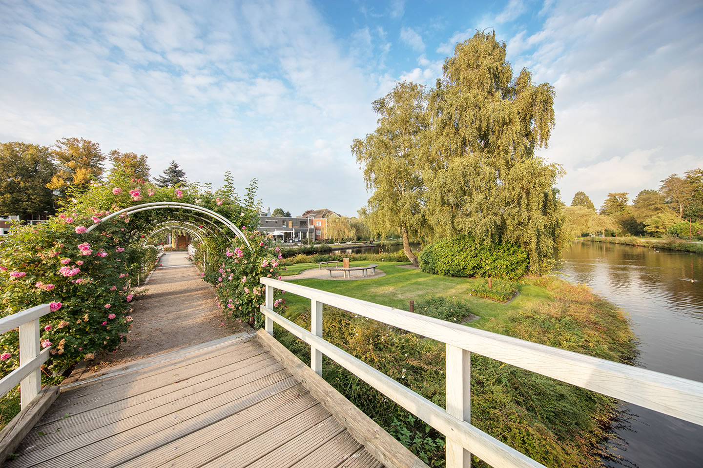 Rosarium der Rosenpark Stadt Uetersen